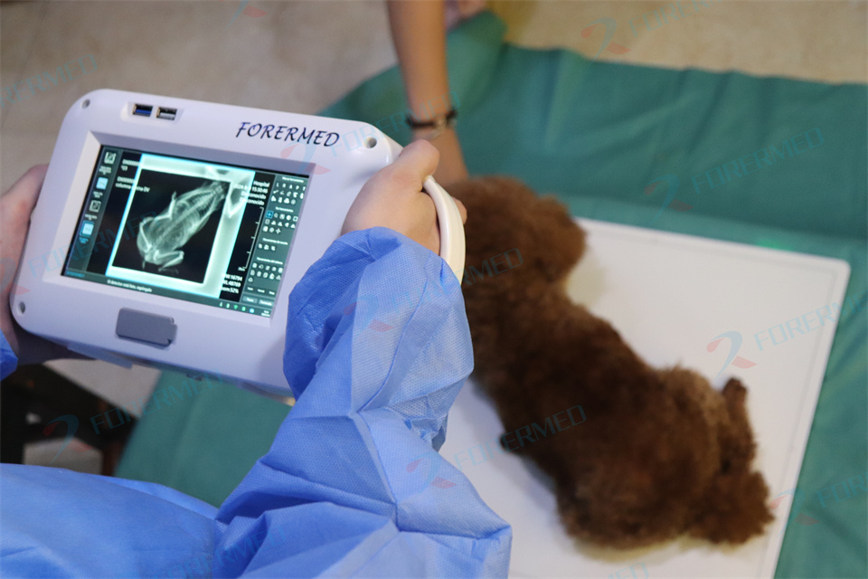 Mini macchina veterinaria a ra - Vet Tech Accessories recensione e prezzo