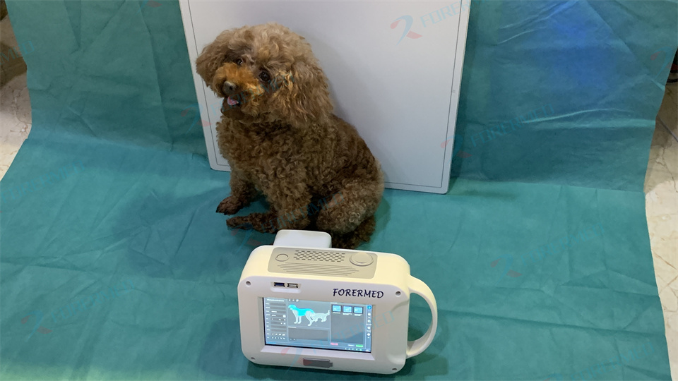 Mini macchina veterinaria a ra - Vet Tech Accessories recensione e prezzo